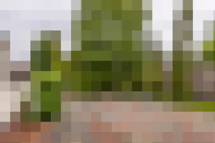 Buitendams 310 Hardinxveld-Giessendam thumbnail 10