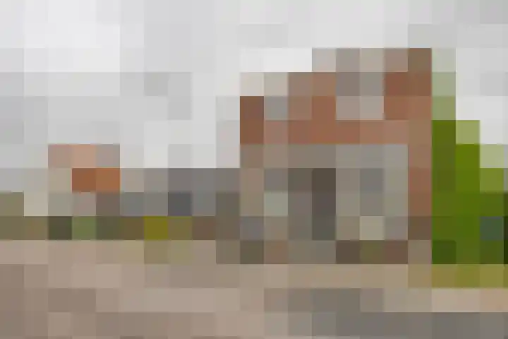 Buitendams 310 Hardinxveld-Giessendam thumbnail 55