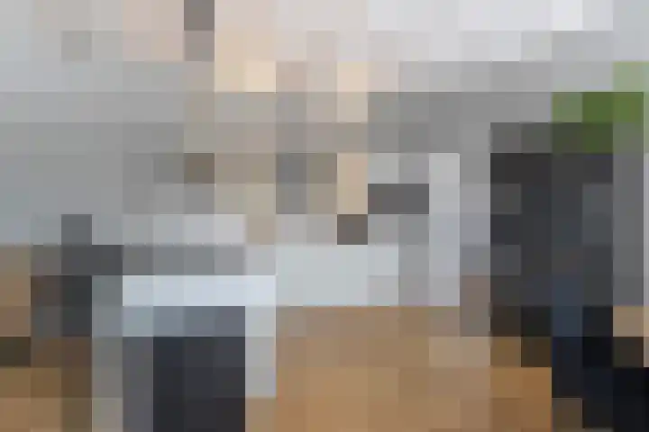 Buitendams 368 Hardinxveld-Giessendam thumbnail 11