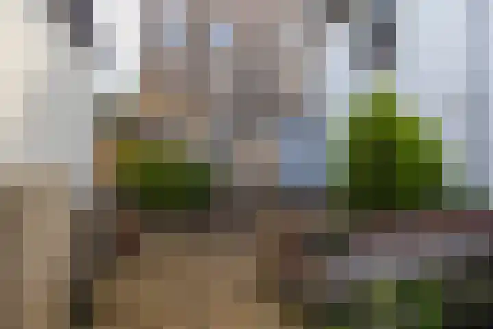 Buitendams 368 Hardinxveld-Giessendam thumbnail 28