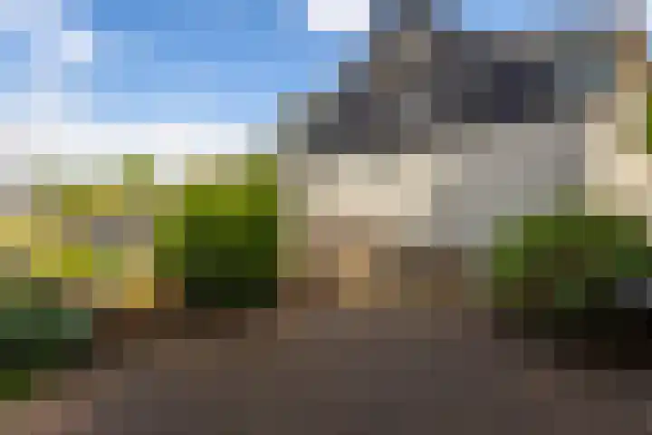 Buitendams 368 Hardinxveld-Giessendam thumbnail 30