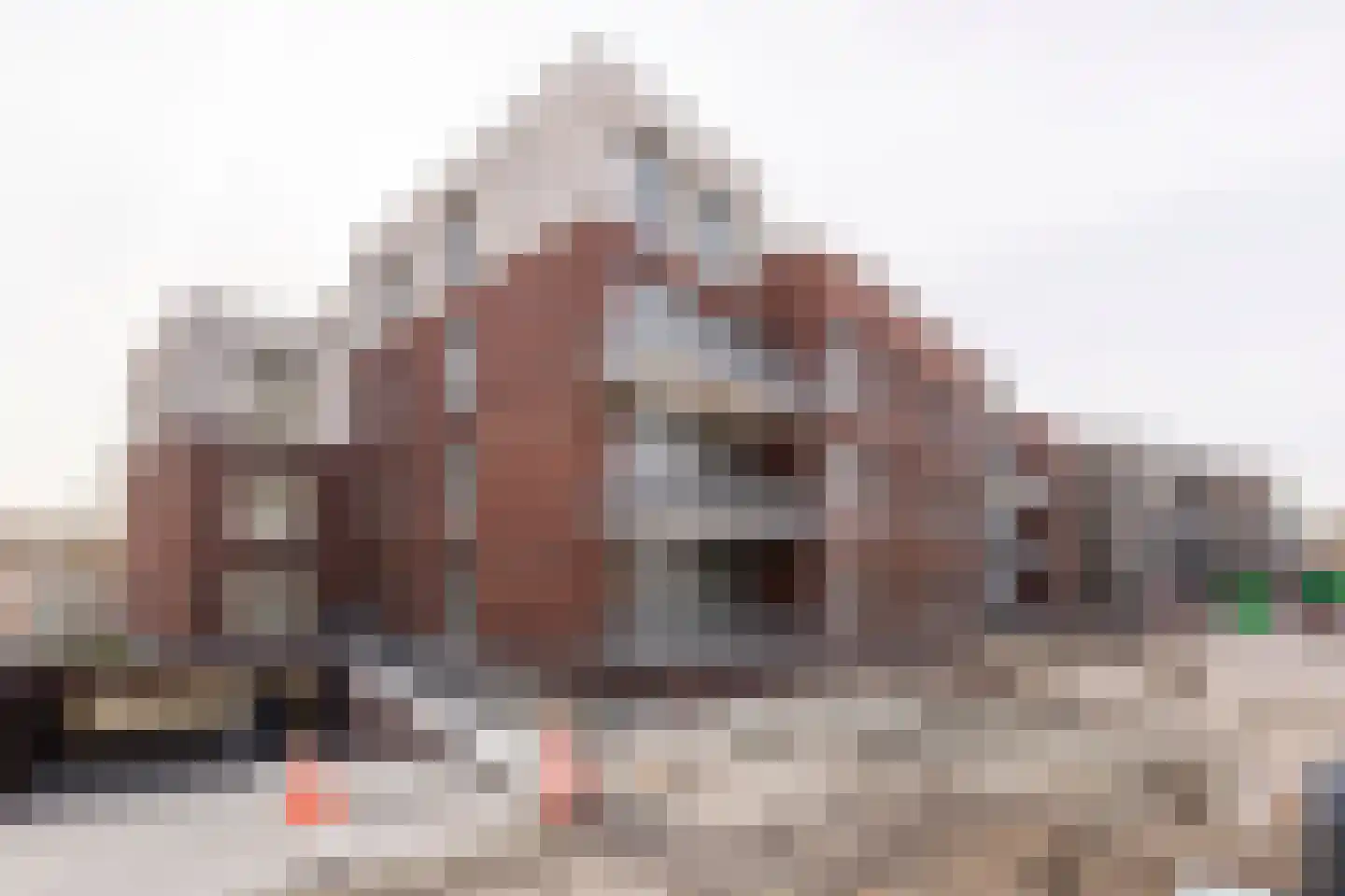 Buitendams 39 F Hardinxveld-Giessendam thumbnail 7