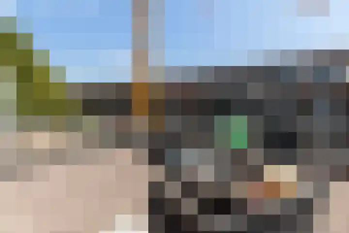 Buitendams 40 C Hardinxveld-Giessendam thumbnail 31