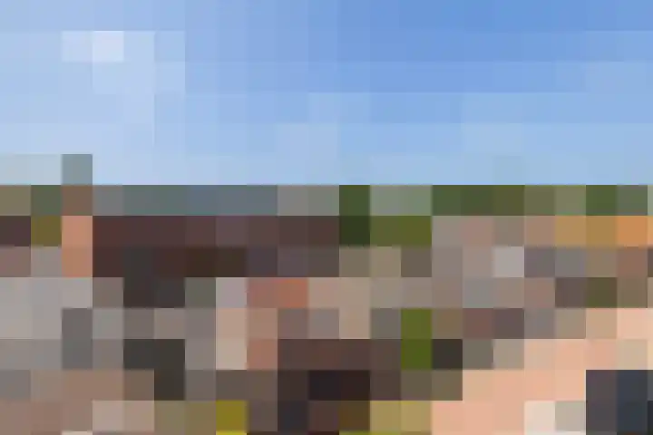 Buitendams 40 C Hardinxveld-Giessendam thumbnail 33