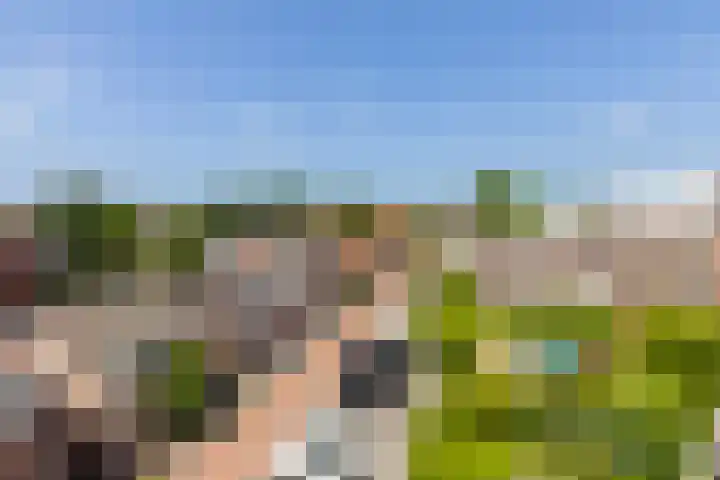 Buitendams 40 C Hardinxveld-Giessendam thumbnail 34
