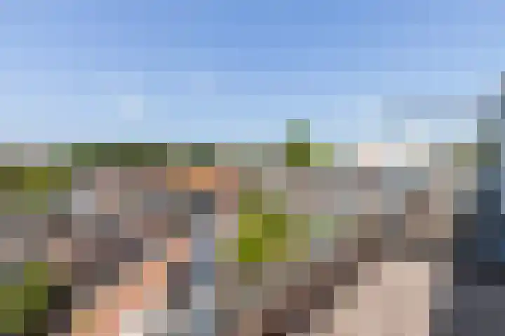 Buitendams 40 C Hardinxveld-Giessendam thumbnail 35