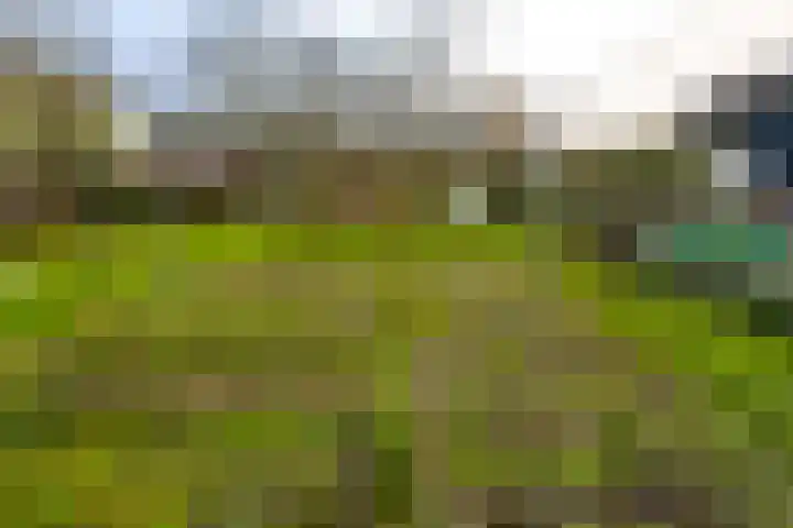 Buitendams 415 Hardinxveld-Giessendam thumbnail 32