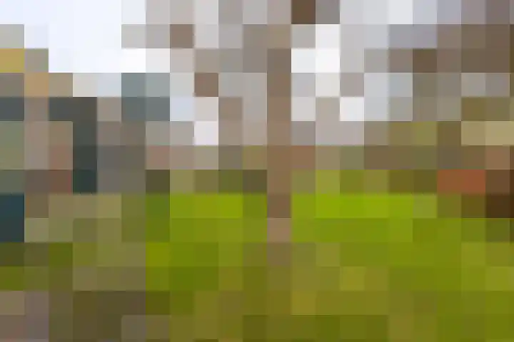 Buitendams 415 Hardinxveld-Giessendam thumbnail 39