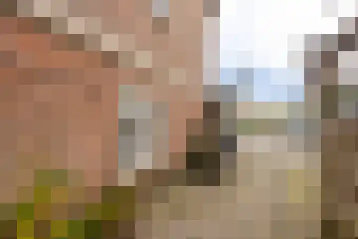 Buitendams 415 Hardinxveld-Giessendam thumbnail 5