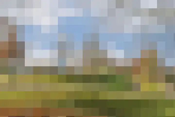 Buitendams 525 Hardinxveld-Giessendam thumbnail 30