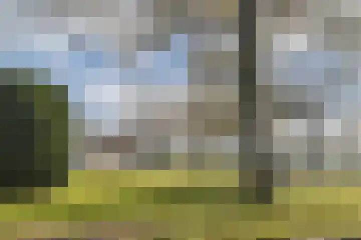 Buitendams 525 Hardinxveld-Giessendam thumbnail 31