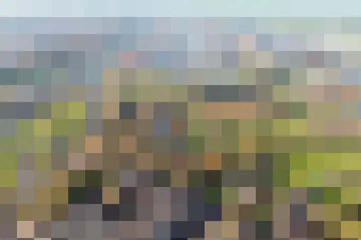 Buitendams 525 Hardinxveld-Giessendam thumbnail 33