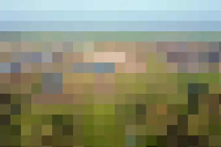 Buitendams 525 Hardinxveld-Giessendam thumbnail 34