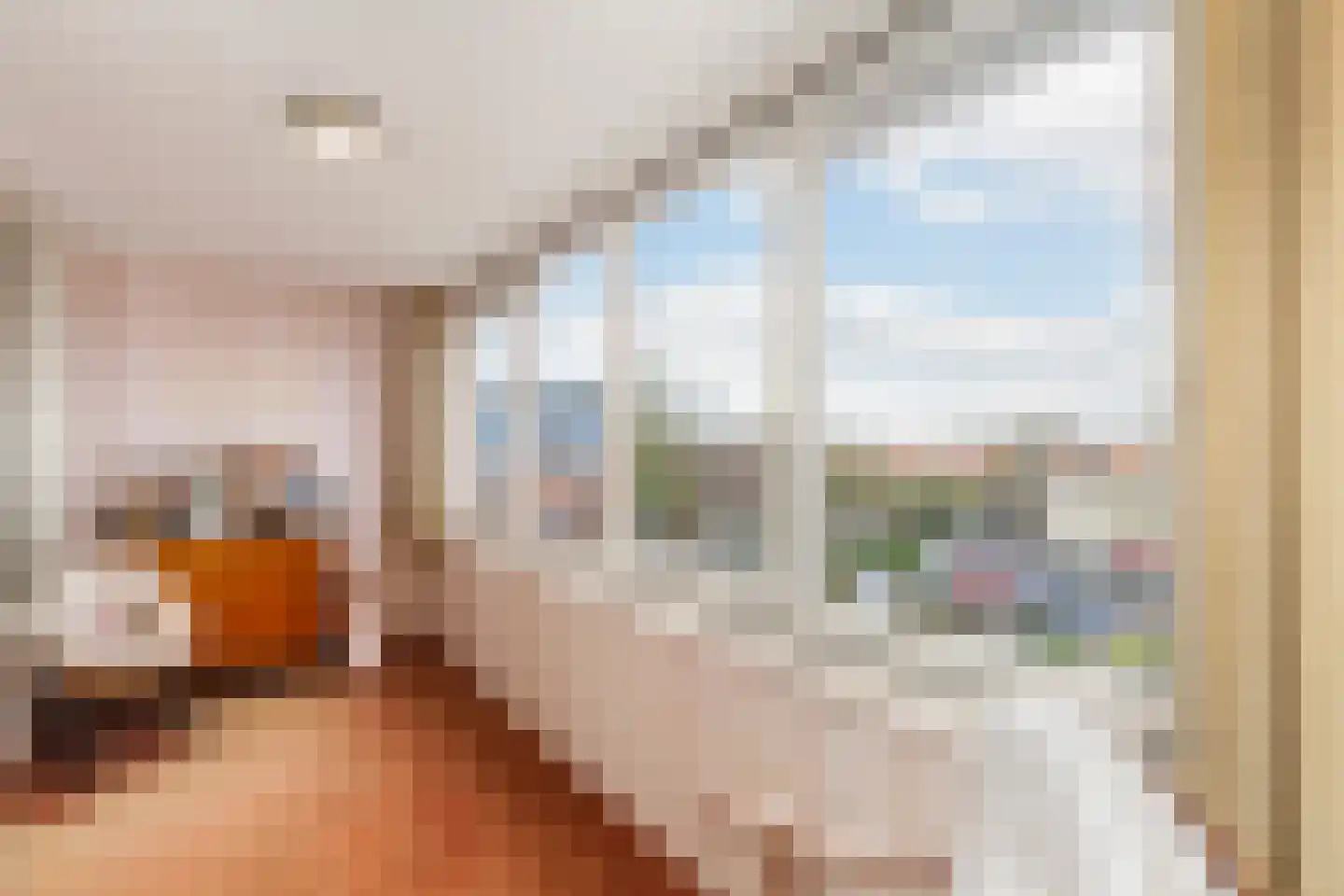 Buitendams 59 B Hardinxveld-Giessendam thumbnail 13