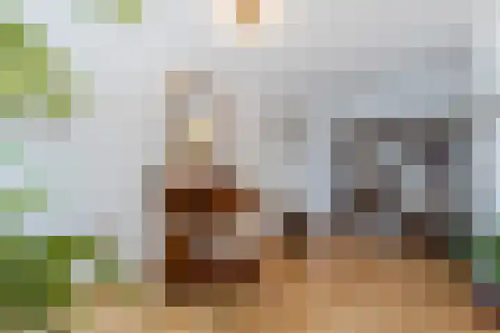 Buitendams 65 Hardinxveld-Giessendam thumbnail 6