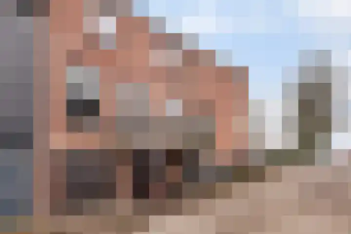 Buitendams 95 Hardinxveld-Giessendam thumbnail 33