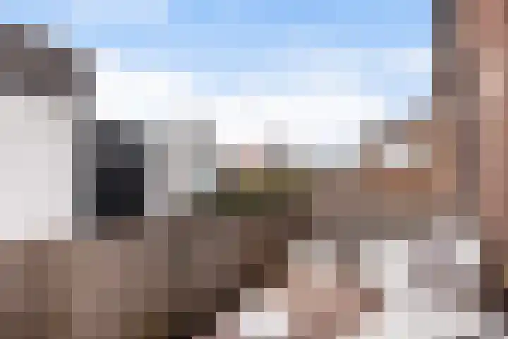 Buitendams 95 Hardinxveld-Giessendam thumbnail 8