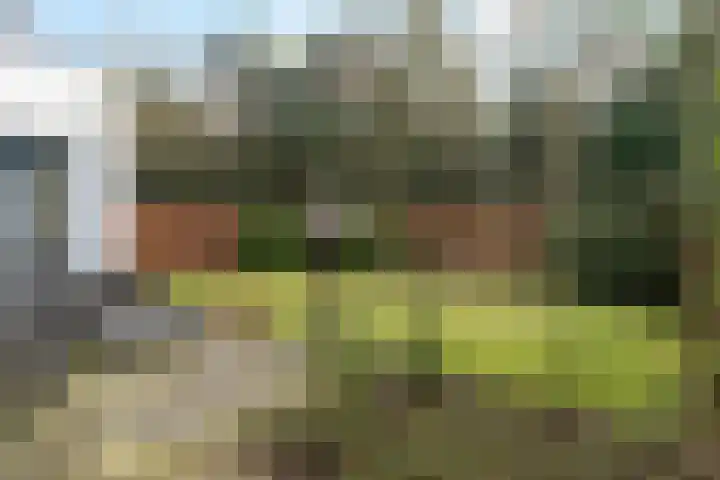 Buitendijk 117 Hank thumbnail 29