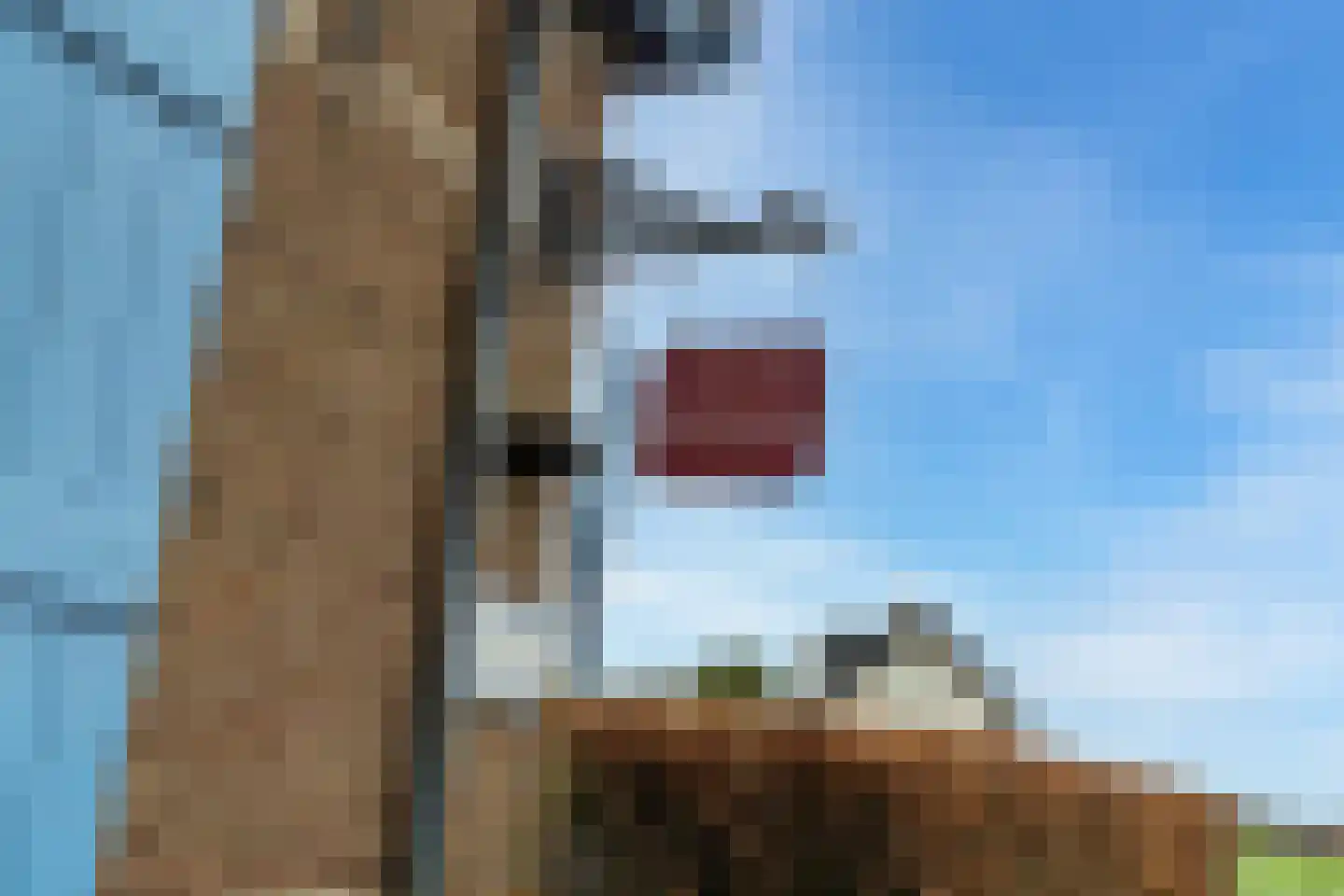Buitendijk 117 Hank thumbnail 5