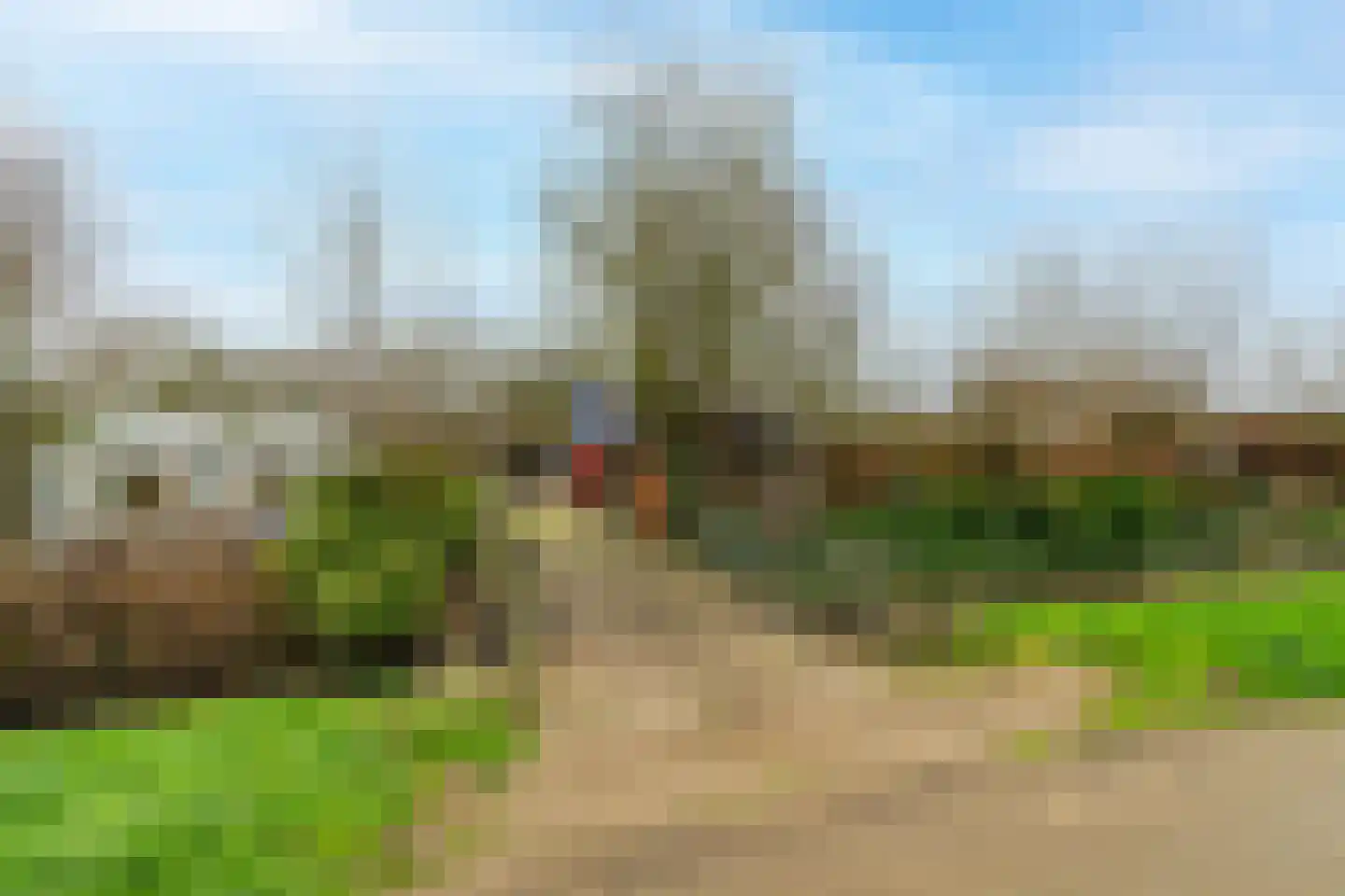 Buitendijk 117 Hank thumbnail 63
