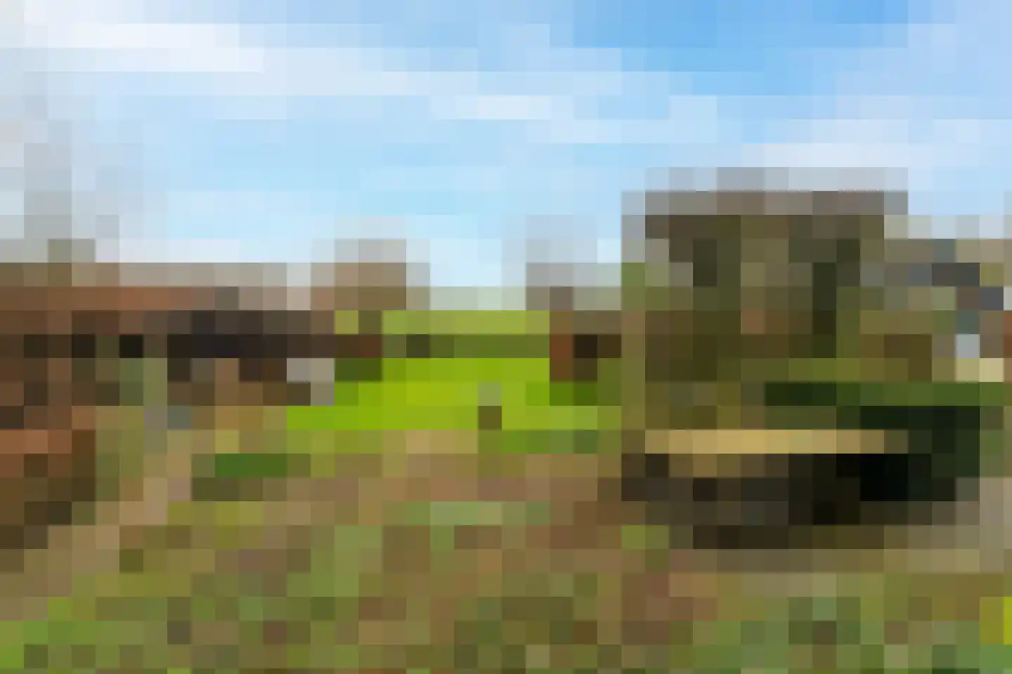 Buitendijk 117 Hank thumbnail 69