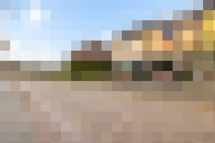 Buitendijk 122 Hank thumbnail 13