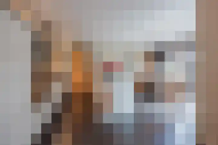 Buitendijk 122 Hank thumbnail 20