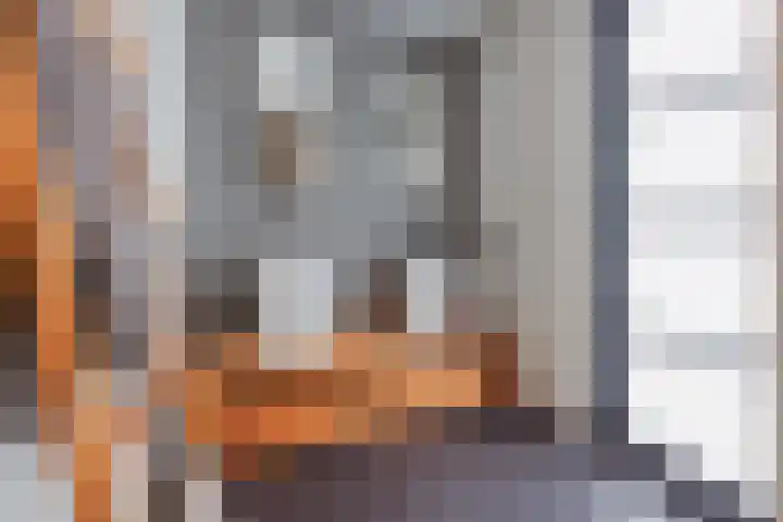 Buitendijk 122 Hank thumbnail 48