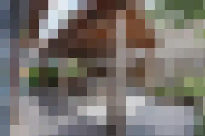 Buitendijk 122 Hank thumbnail 8