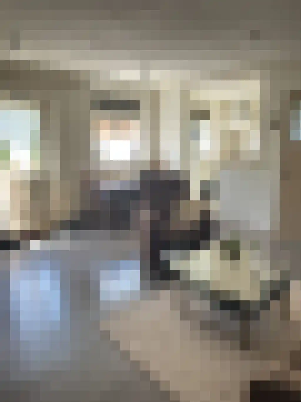 Buitendijk 15 Hank thumbnail 4