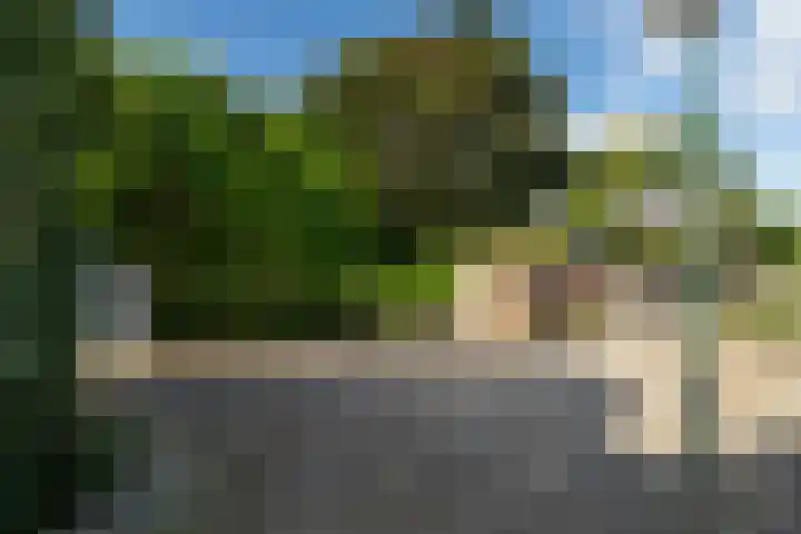 Buitendijk 24 Nieuwendijk thumbnail 30