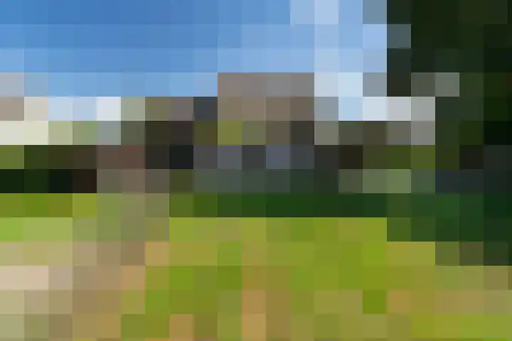Buitendijk 24 Nieuwendijk thumbnail 35