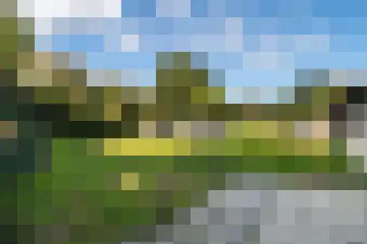 Buitendijk 24 Nieuwendijk thumbnail 36