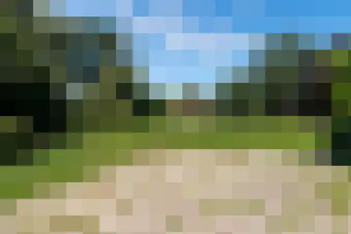 Buitendijk 24 Nieuwendijk thumbnail 37