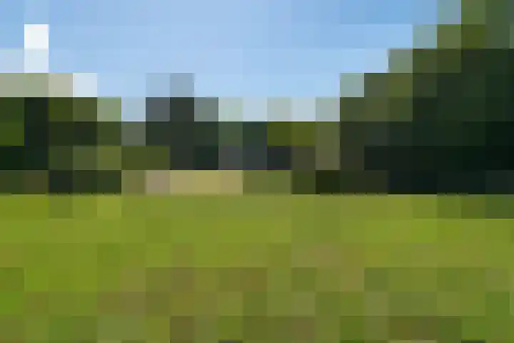 Buitendijk 24 Nieuwendijk thumbnail 38