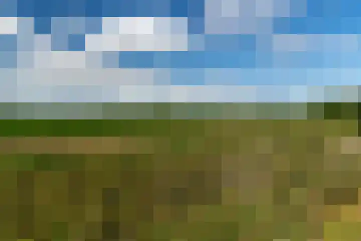Buitendijk 24 Nieuwendijk thumbnail 44