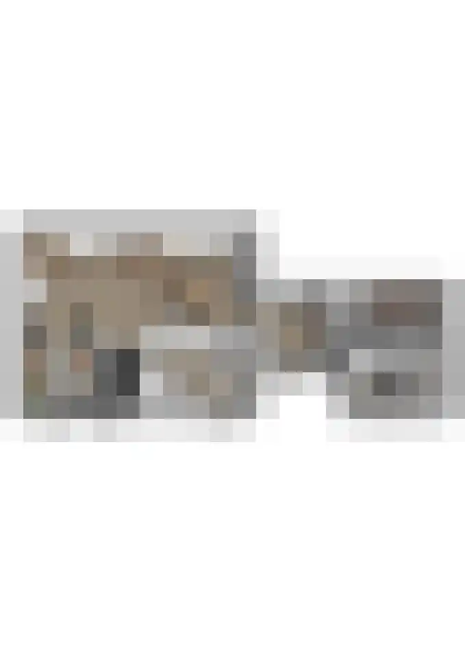 Buitendijk 24 Nieuwendijk thumbnail 46