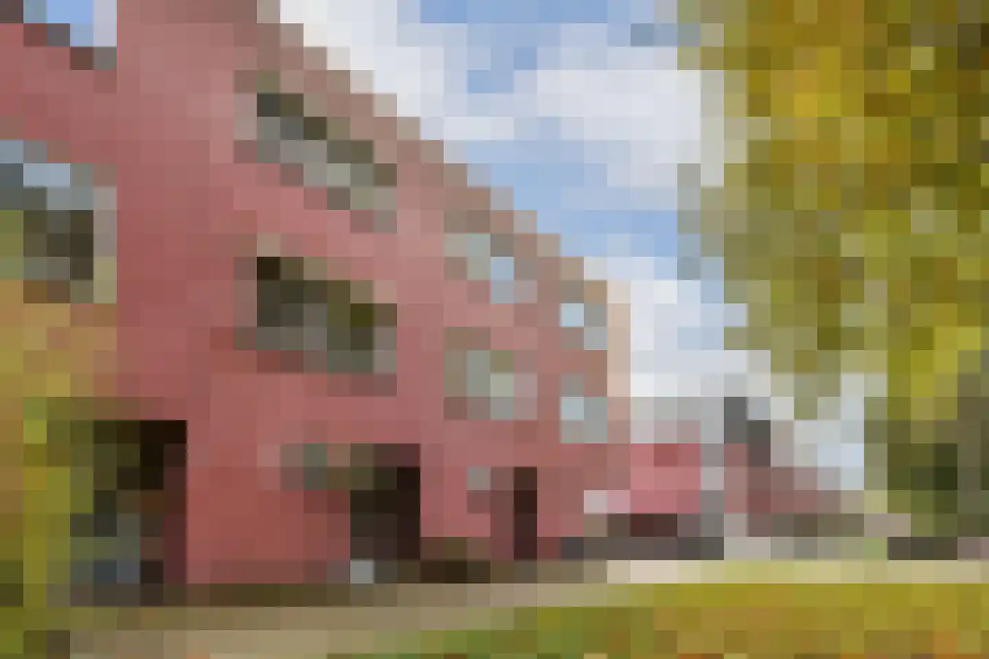 Buitendijk 3 Amsterdam thumbnail 29