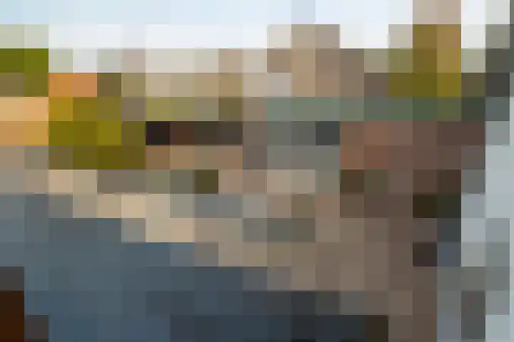 Buitendijk 60 Hank thumbnail 34