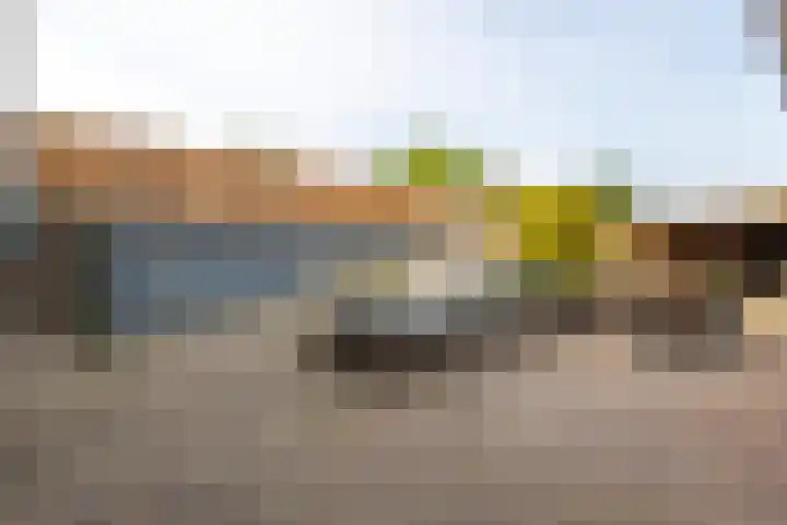 Buitendijk 60 Hank thumbnail 36