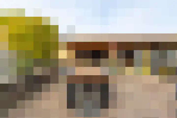 Buitendijk 60 Hank thumbnail 37