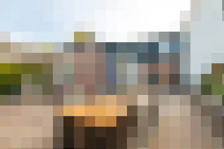 Buitendijk 60 Hank thumbnail 40
