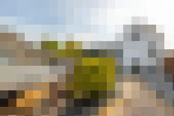 Buitendijk 60 Hank thumbnail 42