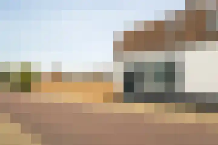 Buitendijk 60 Hank thumbnail 6
