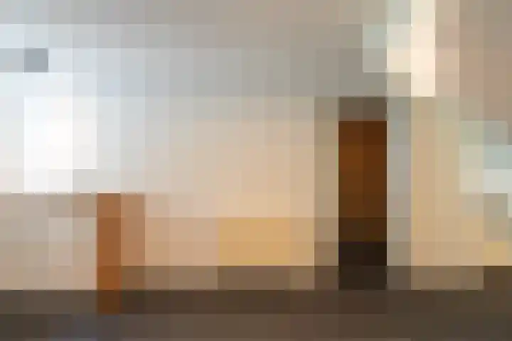 Buitendijk 70 Hank thumbnail 33