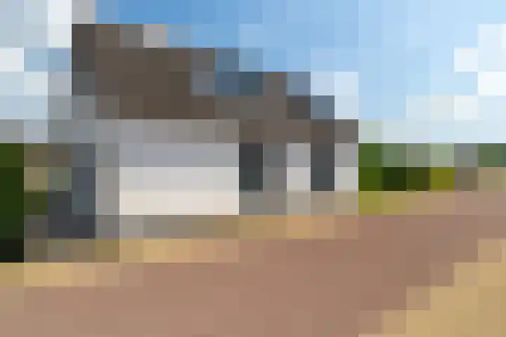 Buitendijk 70 Hank thumbnail 4