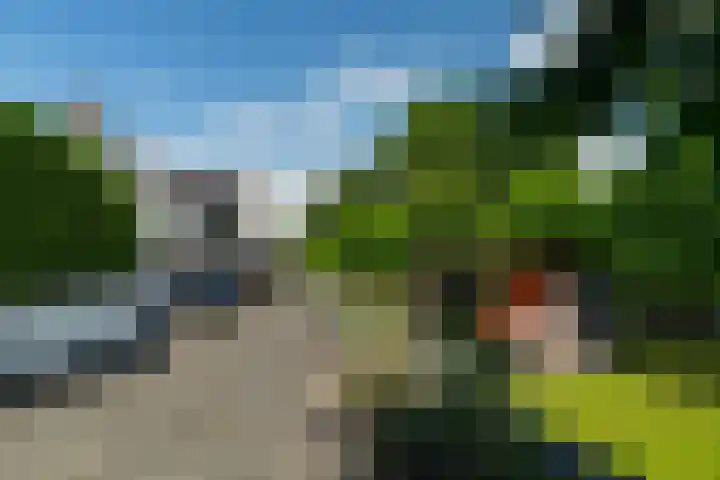 Buitendijk 70 Hank thumbnail 43
