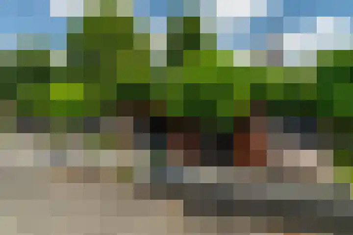 Buitendijk 70 Hank thumbnail 47