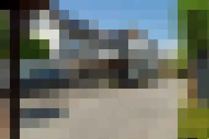 Buitendijk 70 Hank thumbnail 48