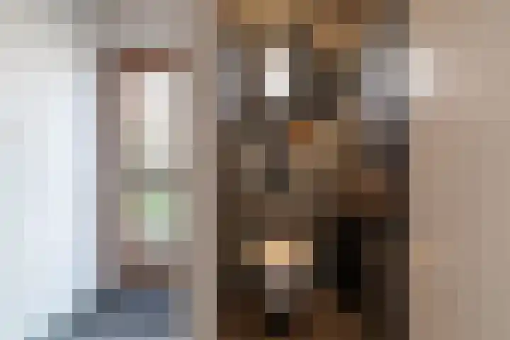 Buitendijk 70 Hank thumbnail 5